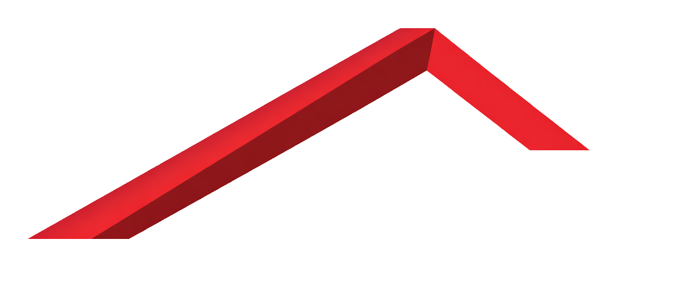 logo ruf montaj